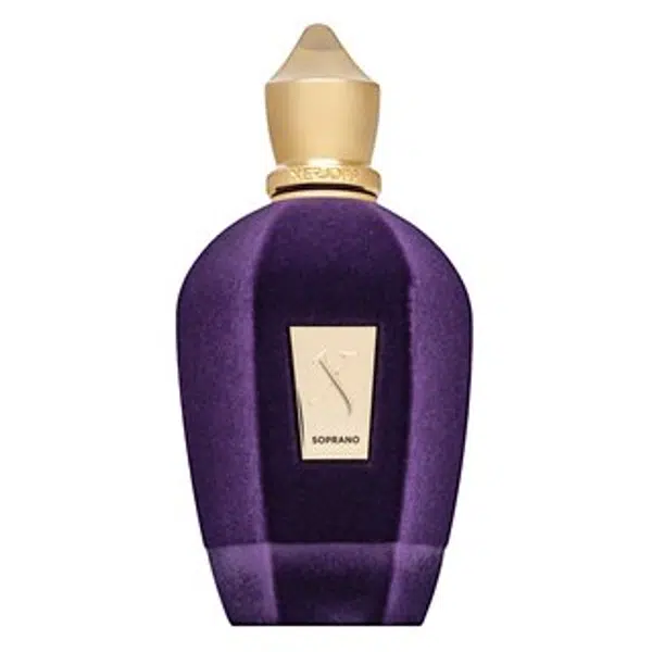 Xerjoff Soprano parfémovaná voda unisex 100 ml