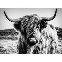 MALBA NA PLÁTNĚ, zvířata, 135/100/3 cm