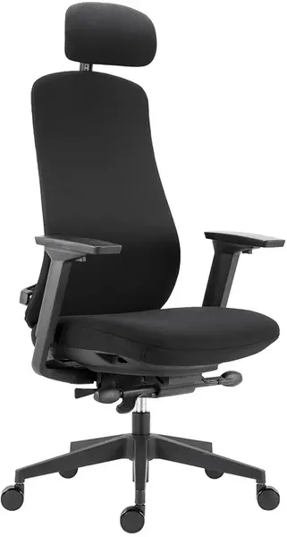 ANTARES Kancelářská židle FARRELL, ergonomická, 8-10 h denně