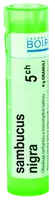 BOIRON Sambucus Nigra CH5 granule 4 g