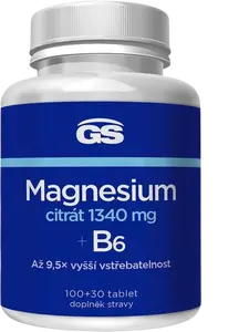 GS Magnesium citrát 1340 mg B6 567 g