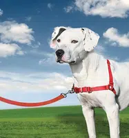 Easy Walk™ Harness | Postroj pre psa proti ťahaniu - čierna - L