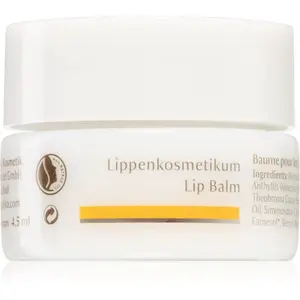 Dr. Hauschka Eye And Lip Care balzám na rty s vyživujícím účinkem 4.5 ml