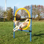 Trixie Agility - krúžok (preskakovacia prekážka) 115 cm × Ø 3 cm, Ø 65 cm (TRX3208)