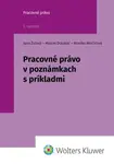 Pracovné právo v poznámkach s príkladmi - Jana Žulová, Marcel Dolobáč, Monika Minčičová