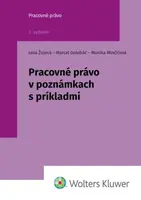 Pracovné právo v poznámkach s príkladmi - Jana Žulová, Marcel Dolobáč, Monika Minčičová