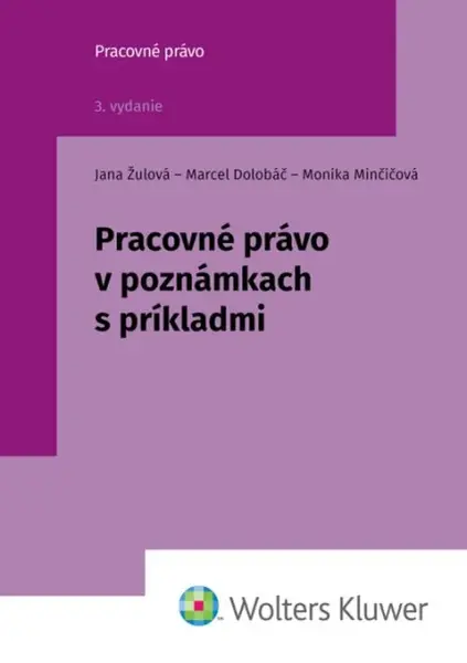 Pracovné právo v poznámkach s príkladmi - Jana Žulová, Marcel Dolobáč, Monika Minčičová