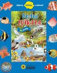 Vodní zvířata - 8x puzzle, objevuj, skládej a obkresli