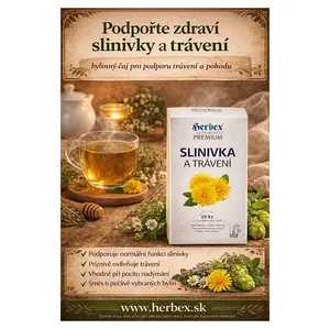 HERBEX Slinivka a trávení 20 sáčků