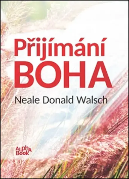 Přijímání Boha (poškozená) - Neale Donald Walsch