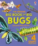 Big Book of Big Bugs - Emily Bone