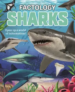 Factology: Sharks - Button Books