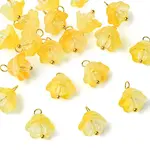 20Pcs Glass & Acrylic Flower Pendants