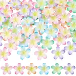 60Pcs 6 Colors Plastic Cabochons