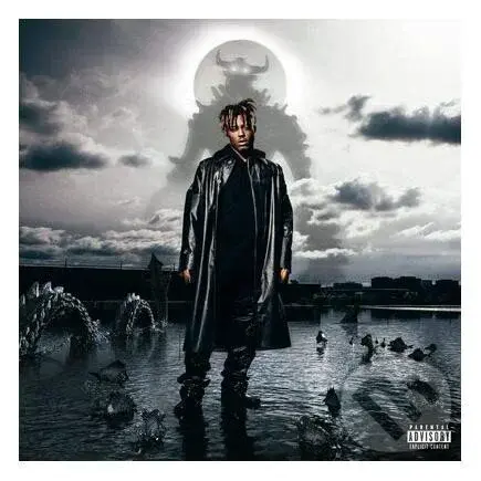 Juice WRLD: Fighting Demons LP (2 LP) - Juice WRLD