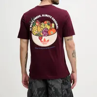 Bavlněné tričko adidas Originals Graphic Lo Ss T pánské, vínová barva, s potiskem, JW2976