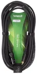 Bespeco EAXFR300