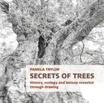 Secrets of Trees - Pamela Taylor