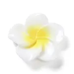 Opaque Resin Cabochons