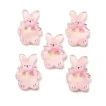 2-Hole Printed Transparent Resin Buttons