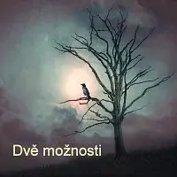 Michal Frank – Dvě možnosti