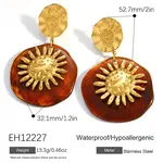 Resin Dangle Stud Earrings