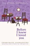 Before I Knew I Loved You