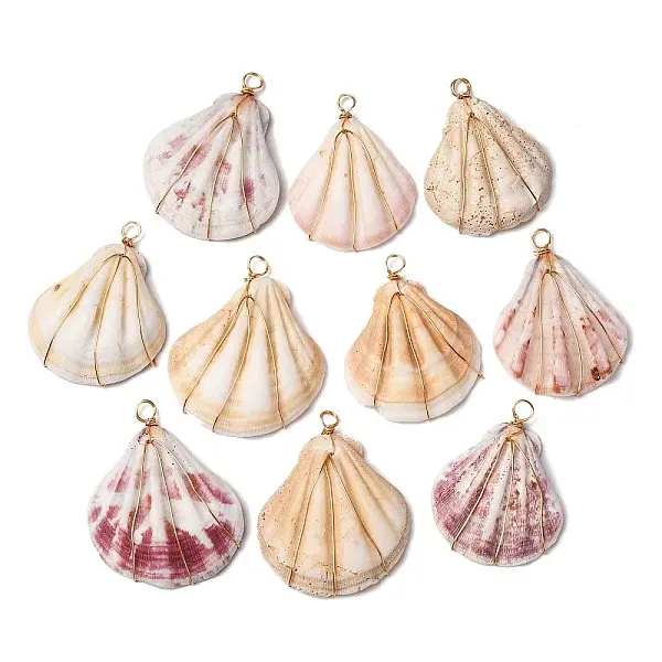 Natural Scallop Shell Pendants