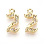 Brass Micro Pave Cubic Zirconia Charms
