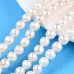 Natural Cultured Freshwater Pearl Beads Strands