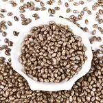 Spray Painted Glass Seed Beads