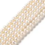 Natural Cultured Freshwater Pearl Beads Strands