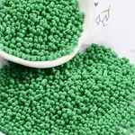 Baking Paint Glass Seed Beads