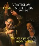 Už jde... (Verista v pasti modernismu) - kniha z kategorie Malířství