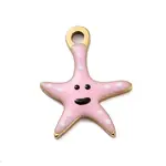 Ion Plating(IP) 201 Stainless Steel Charms