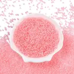 6/0 Transparent Glass Seed Beads