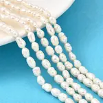 Natural Cultured Freshwater Pearl Beads Strands