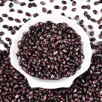 Spray Painted Glass Seed Beads