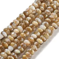 Natural Freshwater Shell Beads Strands