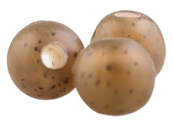 Zfish gumové korálky rubber beads 20 ks - průměr 8 mm