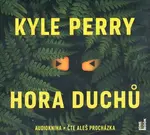 Hora Duchů (2 MP3-CD) - audiokniha