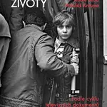 Normalizované životy