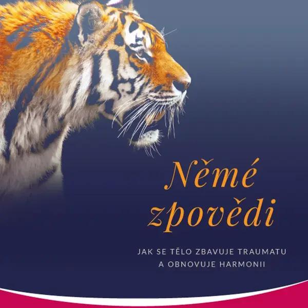 Němé zpovědi