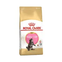 Royal Canin Kitten mainská mývalí kočka granule 10 kg