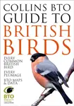 Collins BTO Guide to British Birds - Paul Sterry, Paul Stancliffe