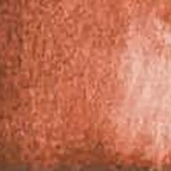 Akvarelová barva DS 1/2 – 111 Venetian Red