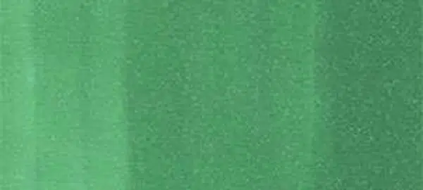 Copic sketch marker - G09 veronese green