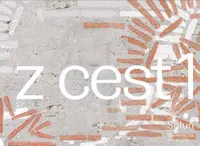 Zápisky z cest 1 - Zuzana Frantová, Ivan Foletti, Monika Kučerová - e-kniha