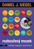 Rozbouřený mozek - Daniel J. Siegel - e-kniha
