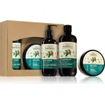 Green Pharmacy Green coffee & Ginger Oil SET dárková sada